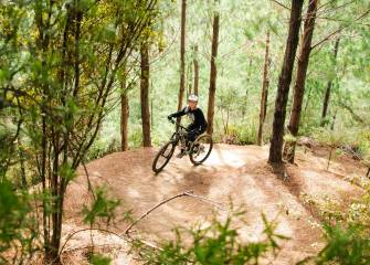 waitangi mountain bike park experience
